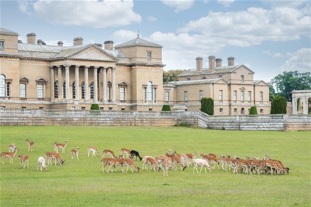 Holkham Hall - Credit Holkham Estate