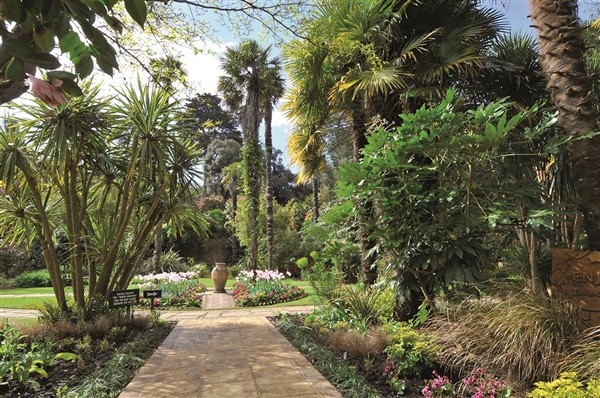 Abbotsbury Suptropical Gardens