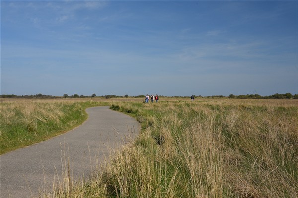 Gibraltar Point, Skegness (c) Visit Linconshire