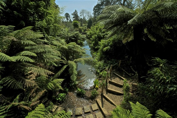 Heligan Jungle (c) Toby Strong