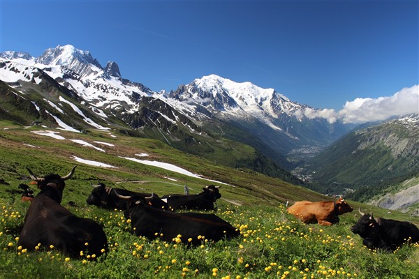 Mont Blanc 